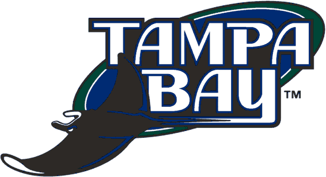Tampa Bay Devil Rays 2001-2007 Primary Logo DIY iron on transfer (heat transfer)